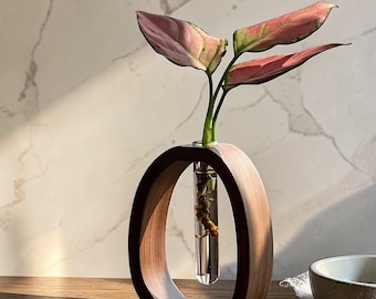 Hydrokultur-Vase aus Walnussholz: Minimalistischer Pflanzenhalter aus Glas für die Dekoration im Schlafzimmer
