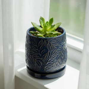 Puede incluir: Una pequeña maceta de cerámica azul oscuro con un diseño de hojas, que contiene una planta suculenta verde. La maceta está sobre un platillo a juego. La maceta está en un alféizar blanco, junto a una cortina blanca transparente.