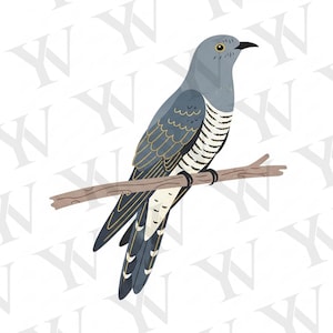 May include: A distressed wooden sign displaying the word "Welcome" in a handwritten font. The sign has a rustic appearance, ideal for a front door or hallway, and is made of wood.