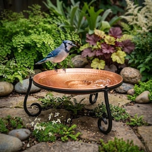 May include: A blue jay perched on a copper-colored bird bath filled with water. The bird bath has a hammered texture and sits on a black metal stand with decorative scrollwork legs. The bird bath is surrounded by lush greenery and stone pavers.