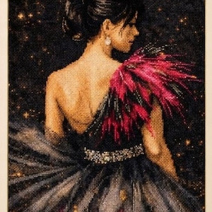 Puede incluir: Un patrón de punto de cruz enmarcado titulado "Ruby Feather" que presenta un retrato de una mujer con un vestido negro y rojo. El diseño incluye 188 x 300 puntadas y 28 colores DMC. El marco es dorado.