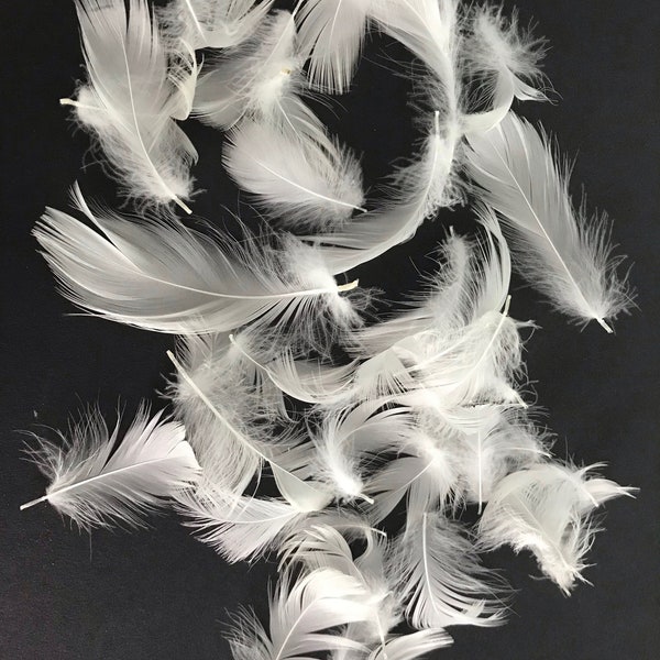 Cruelty Free Feathers Etsy UK