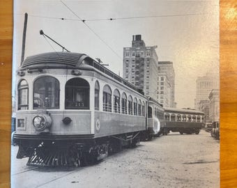 Galveston-Houston Electric Railway av örtskog