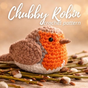 May include: A crocheted robin bird with a brown head and wings, an orange breast, and a white belly. The bird has a small brown beak and black eyes. The text "Chubby Robin crochet pattern" is written in white script above the bird.
