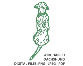 Wire Haired Dachshund Outline Silhouette Digital Cut Cricut File or Print File - PNG - PDF - JPEG - Sausage Dog - Weiner Dog