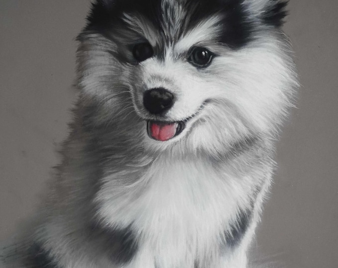Adorable Baby Husky, Giclée Print, Sure Color on Hahnemühle Cotton Paper