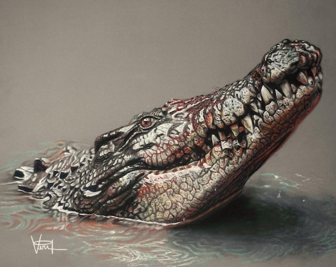 Floating Crocodile, Giclée Print, Sure Color on Hahnemühle Cotton Paper