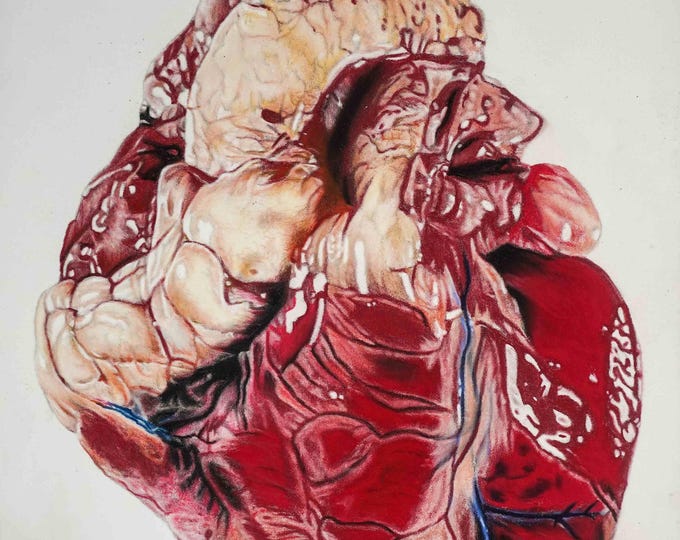 Realistic Heart, Giclée Print, Sure Color on Hahnemühle Cotton Paper