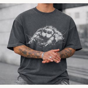 Pu&ograve; includere: T-shirt grigio scuro con una grande grafica di ragno bianco. Il ragno &egrave; al centro, con le sue zampe e il design della ragnatela visibili. La maglietta ha un aspetto vintage e usurato.