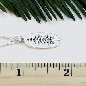 Op de afbeelding: Een zilveren ketting met een hanger met een gedetailleerde omtrek van een dennenboom. De hanger is ovaalvormig en ongeveer 2,5 cm lang.