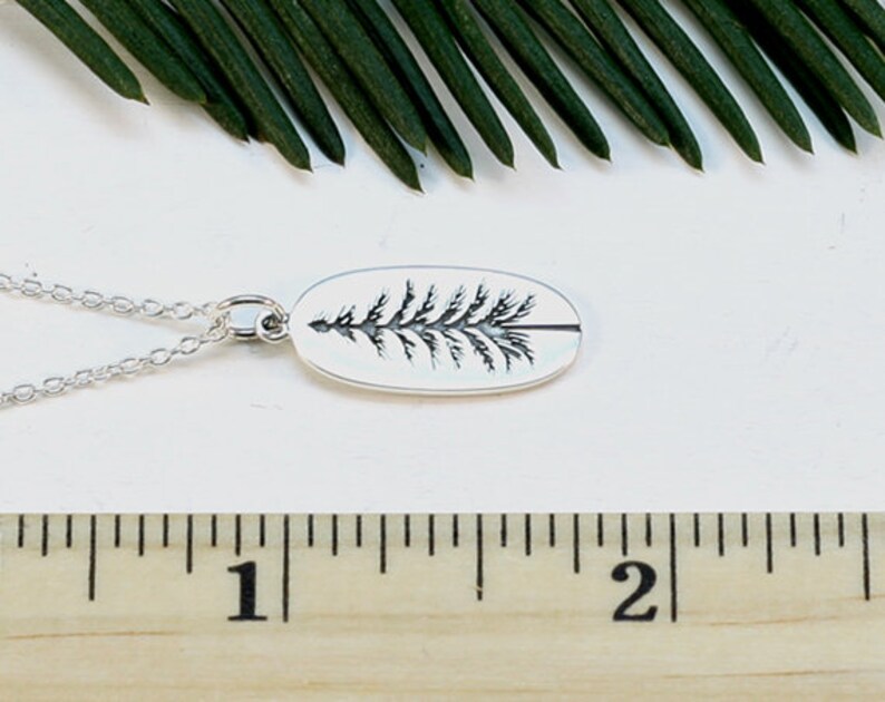 Op de afbeelding: Een zilveren ketting met een hanger met een gedetailleerde omtrek van een dennenboom. De hanger is ovaalvormig en ongeveer 2,5 cm lang.