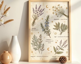 Puede incluir: Una lámina botánica enmarcada con ilustraciones de lavanda, manzanilla, salvia, romero, artemisa y verbena con etiquetas de texto. La lámina incluye pequeños símbolos dorados de estrellas y lunas. Junto al marco hay tres jarrones y una piña.