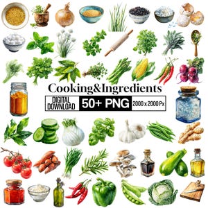Cooking Ingredients Clipart PNG Bundle, Kitchen Ingredients Illustration, Spice Vegetable Cooking Graphics, Recipe Element, Digital Download