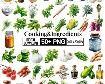 Kochen Zutaten Clipart PNG Bundle, Küchen Zutaten Illustration, Gewürz Gemüse Kochen Grafiken, Rezept Element, digitaler Download