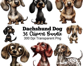 Dachshund PNG Clipart Bundle, Watercolor Sausage Dog Puppy, Cute Wiener Dog Illustrations, Girly Dog with Sunglasses, Pet Graphics