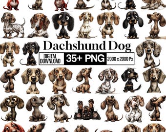 Dachshund PNG Clipart Bundle, Watercolor Sausage Dog Puppy, Cute Wiener Dog Illustrations, Girly Dog with Sunglasses, Pet Graphics