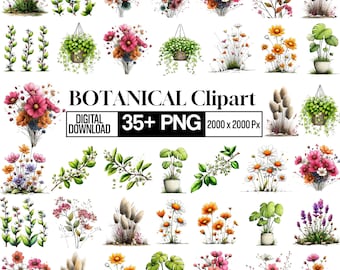 Pacchetto di clipart floreali botaniche in formato PNG, foglie e piante ad acquerello, grafica di fiori selvatici, fiori da giardino, design per sublimazione, scrapbooking