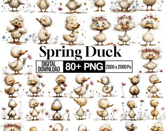 Spring Duck Clipart Bundle, Cute Duckling PNG, Baby Duck Clipart, Watercolor Duck Illustration, Spring Animal Clipart, Cute Duck,Farm Animal
