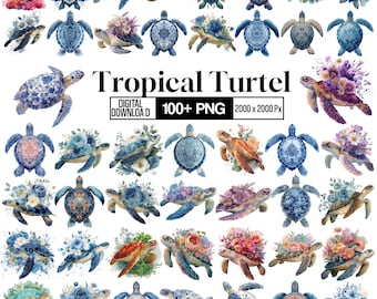 Tropische Schildkröte Clipart Bundle, niedliche Meeresschildkröte PNG, Sommer Strand Tier Clipart, Aquarell Schildkröte Grafiken, wunderliche Comictiere