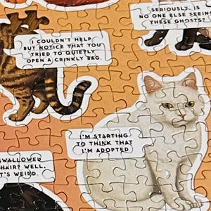 May include: A jigsaw puzzle featuring various cat illustrations on an orange background. Each cat is paired with a speech bubble containing text such as 'It's your choice', 'Seriously is no one else seeing these ghosts?', and 'I'm starting to think that I'm adopted'.
