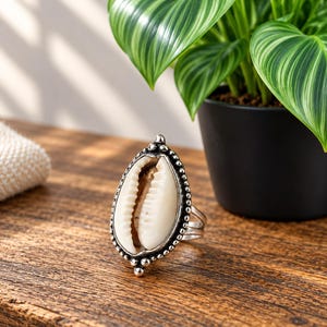 May include: A ring featuring a central white cowrie shell set within a decorative oxidised silver metal frame. The metal setting has a beaded edge detail and a split band design. The shell has a natural tan opening with visible ridges.
