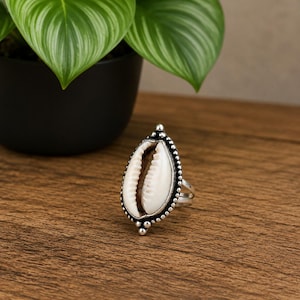 Può includere: Un anello con una conchiglia di ciprea bianca centrale incastonata in una montatura in metallo color argento. L'incastonatura presenta un bordo perlato e un gambo sdoppiato, che mette in risalto la texture naturale dell'apertura.