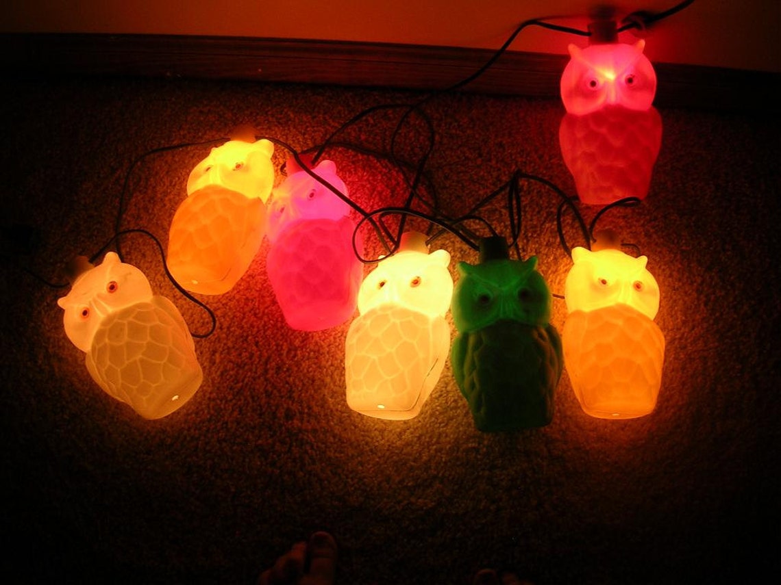 Vintage Colorful Owl String Patio Camping Lights Etsy