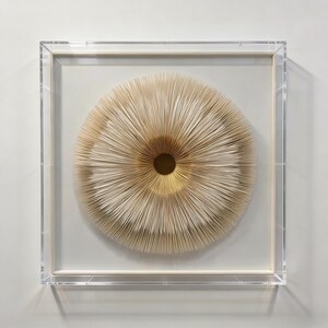 May include: A framed, abstract wall art piece. The artwork features a circular design with layered, radiating paper elements in shades of beige and gold. The piece is encased in a clear acrylic frame, creating a modern aesthetic.