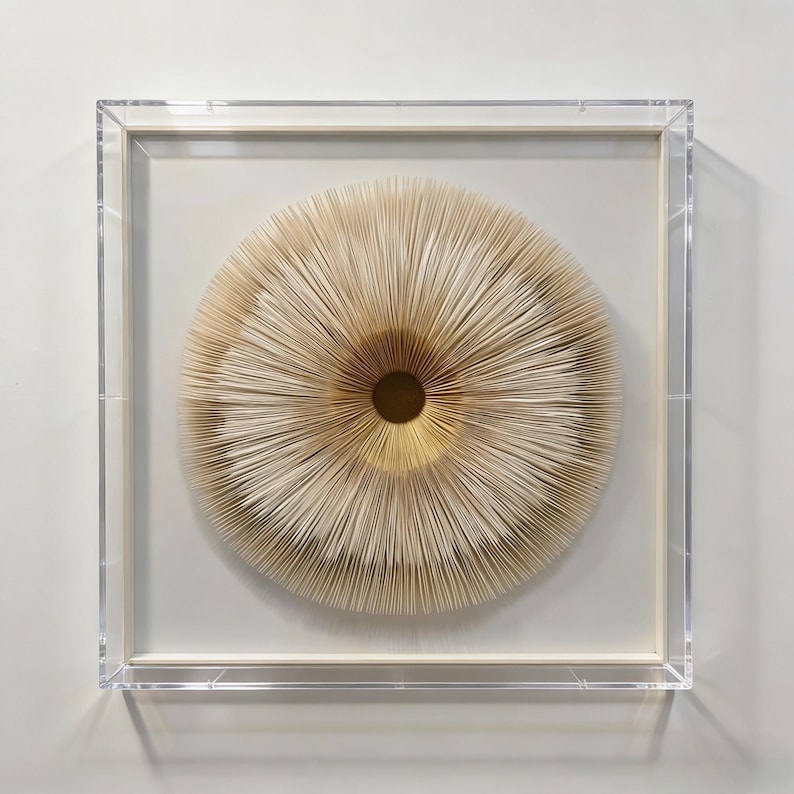 May include: A framed, abstract wall art piece. The artwork features a circular design with layered, radiating paper elements in shades of beige and gold. The piece is encased in a clear acrylic frame, creating a modern aesthetic.