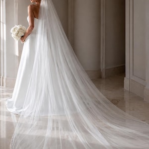 May include: A bride in a white strapless wedding dress with a long, flowing veil. She holds a bouquet of white flowers. The veil is adorned with small, delicate embellishments. The scene is set in a bright, elegant hallway.