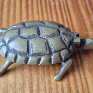 May include: A small, metallic brass turtle figurine featuring a detailed, segmented shell with a weathered, golden-brown patina. The turtle is depicted in a walking position with four visible legs, a small head, and a short tail, showcasing a solid construction.