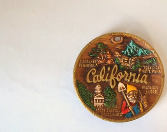 kitschy california souvenir wall hanging