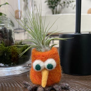 May include: A needle-felted orange creature planter holding a green air plant. The creature has two large white eyes with dark green pupils, a long yellow pointed nose, and dark brown textured feet at the base of its cylindrical orange body.