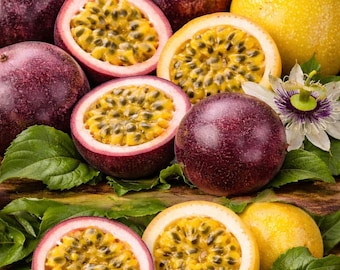 Passionsfruchtsamen-Set (3 Sorten à 10 Samen): Purple Passiflora edulis & Edulis f. flavicarpa (gelbe Maracuja) und Granadilla.