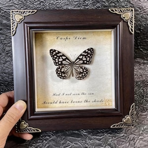 Puede incluir: Un espécimen de mariposa enmarcado con un marco de madera marrón oscuro y detalles decorativos en las esquinas. La mariposa tiene alas con patrones en blanco y negro y se exhibe sobre un fondo similar a pergamino con las palabras "Carpe Diem" y una cita.