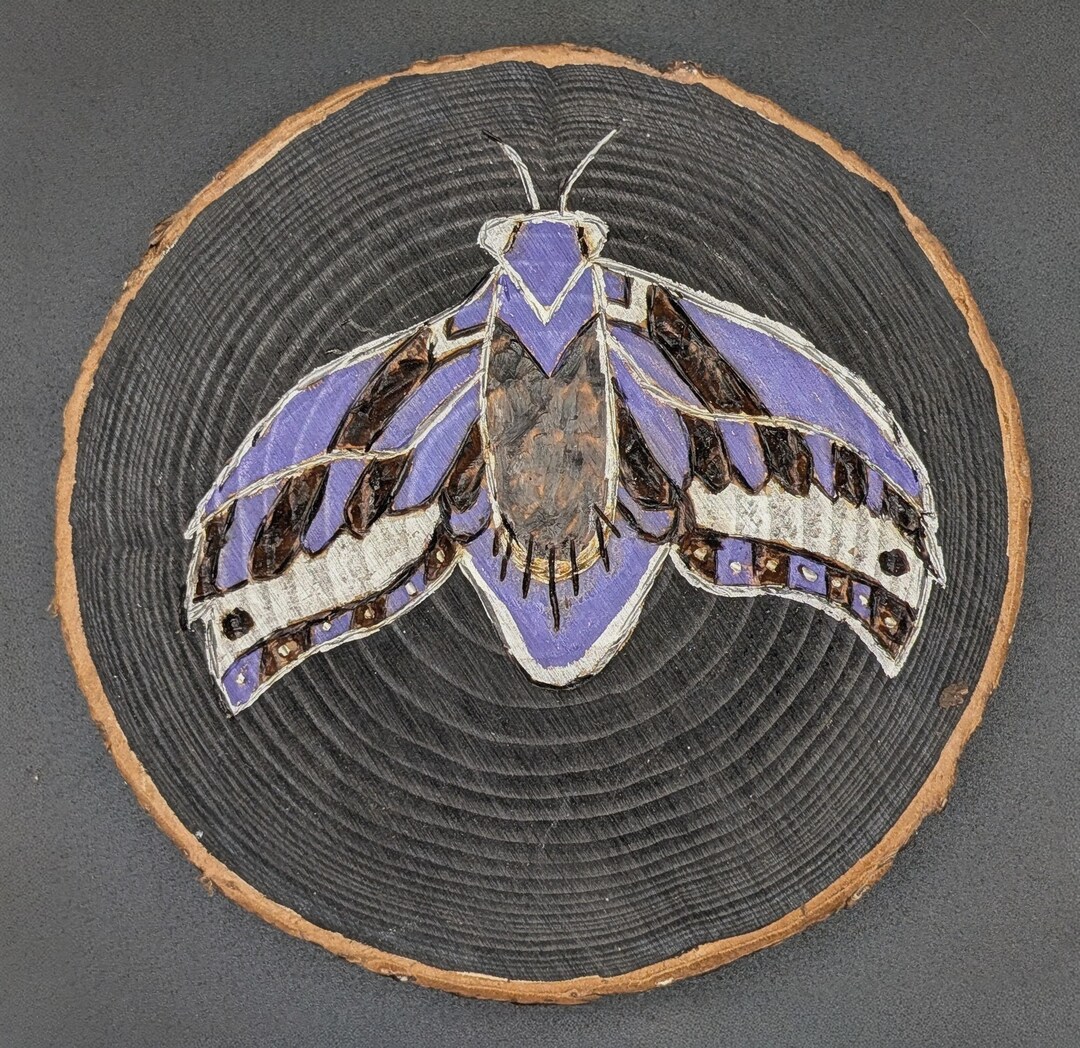 Luna Moth Wood Slice – Hand Burned & Painted Nature Art - Etsy