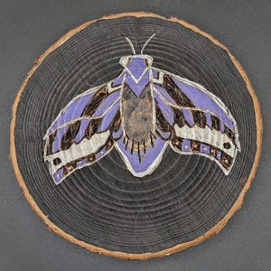 May include: A hand-painted moth design on a round wood slice. The moth features purple, brown, and white details. The wood slice has a dark gray background with visible wood grain and a natural brown edge. This artwork is suitable for home decor.
