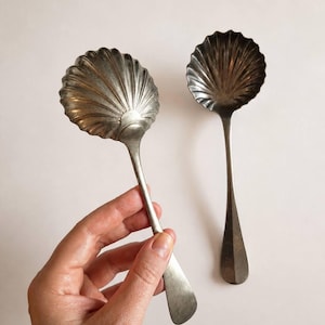 Op de afbeelding: Twee zilverkleurige metalen lepels met kommen in de vorm van geschulpte schelpen. Elke lepel heeft een gestructureerd, geribbeld ontwerp op de achterkant van de kom en een gladde, taps toelopende steel. Het metaal heeft een matte afwerking.