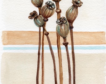 Original Watercolor Painting: Quiet Pods  - Poppy Seed Heads Teal Sepia