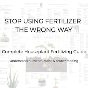Può includere: Sfondo bianco con testo che recita "STOP USING FERTILIZER THE WRONG WAY". Sotto, c'è scritto "Complete Houseplant Fertilizing Guide". L'immagine include anche il testo "Understand nutrients, ratios & proper feeding".