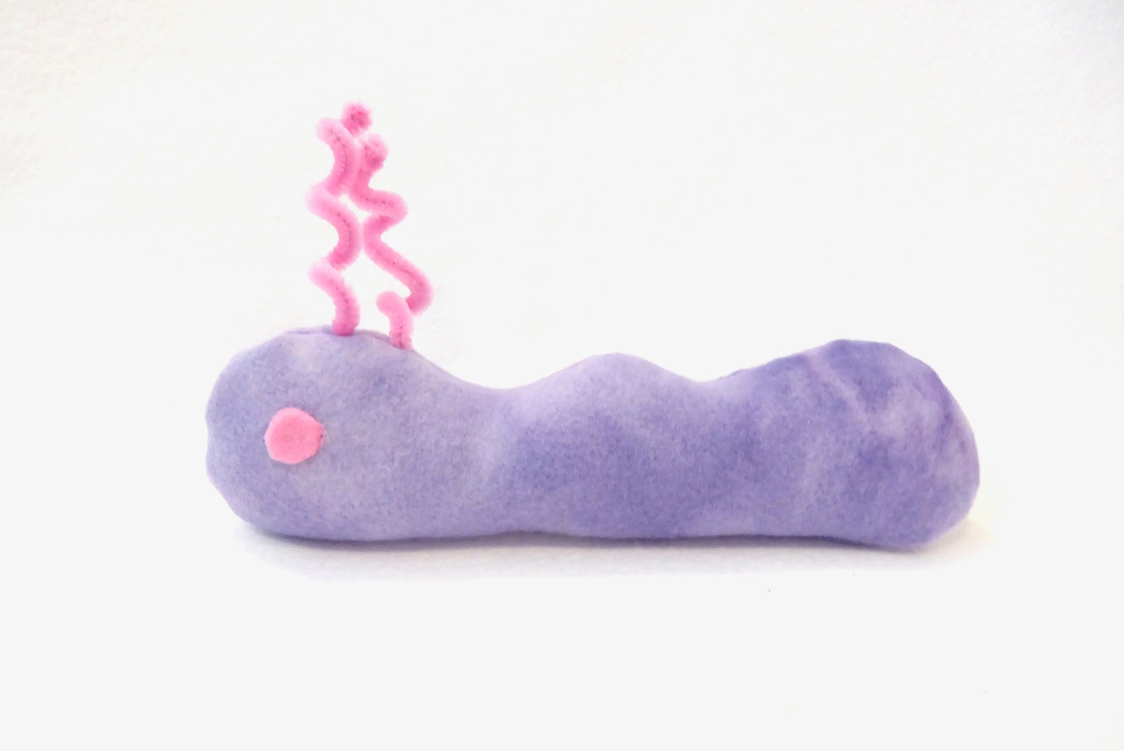 worm cat toy
