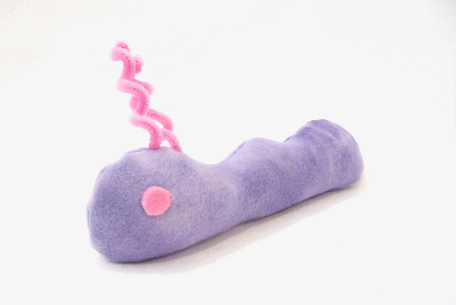 worm cat toy
