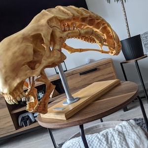 May include: A tan-colored, elongated skull and spinal column sculpture mounted on a silver metal rod and a rectangular wooden base. The skeletal structure features a smooth, curved cranium, sharp teeth, and a segmented, arched back design.