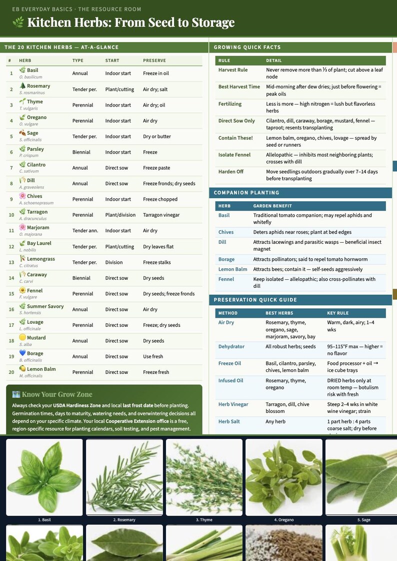 K&ouml;nnte beinhalten: Eine detaillierte Tabelle mit dem Titel "K&uuml;chenkr&auml;uter: Vom Samen bis zur Lagerung" listet 20 K&uuml;chenkr&auml;uter mit Details zu Art, Konservierung und Anbautipps auf. Enth&auml;lt Bilder von Kr&auml;utern wie Basilikum, Rosmarin und Thymian.