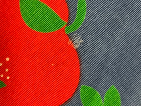 Vintage Strawberry A Line Skirt 70’s Sweet Denim … - image 9