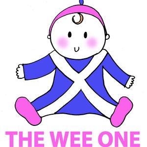 Wee One Cute Scottish Baby Bag image 5