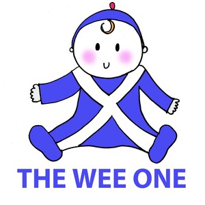 Wee One Cute Scottish Baby Bag image 4