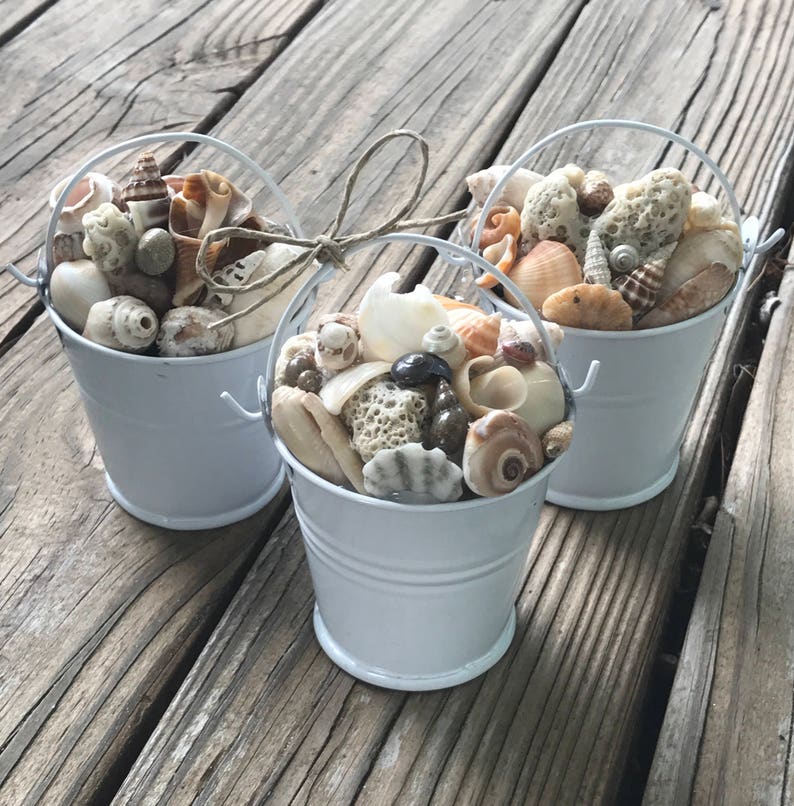 Mini Beach Bucket Miniature Natural FL Shells Sand Pail Etsy