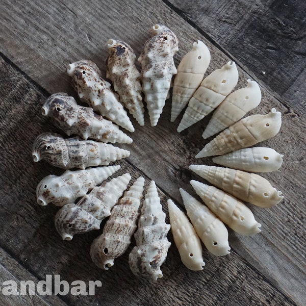 Snail Shell Beads Drilled Seashell Beads Auger Beads Shells with Holes Eco-Friendly Jewelry Beading Supply Large Hole Beads - TheSandbar
