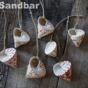 Red Shell Ornaments Beach Ornament Seashell Set Natural Red White Cone Coastal Christmas Beach House Decor Strawberry Spiral TheSandbar